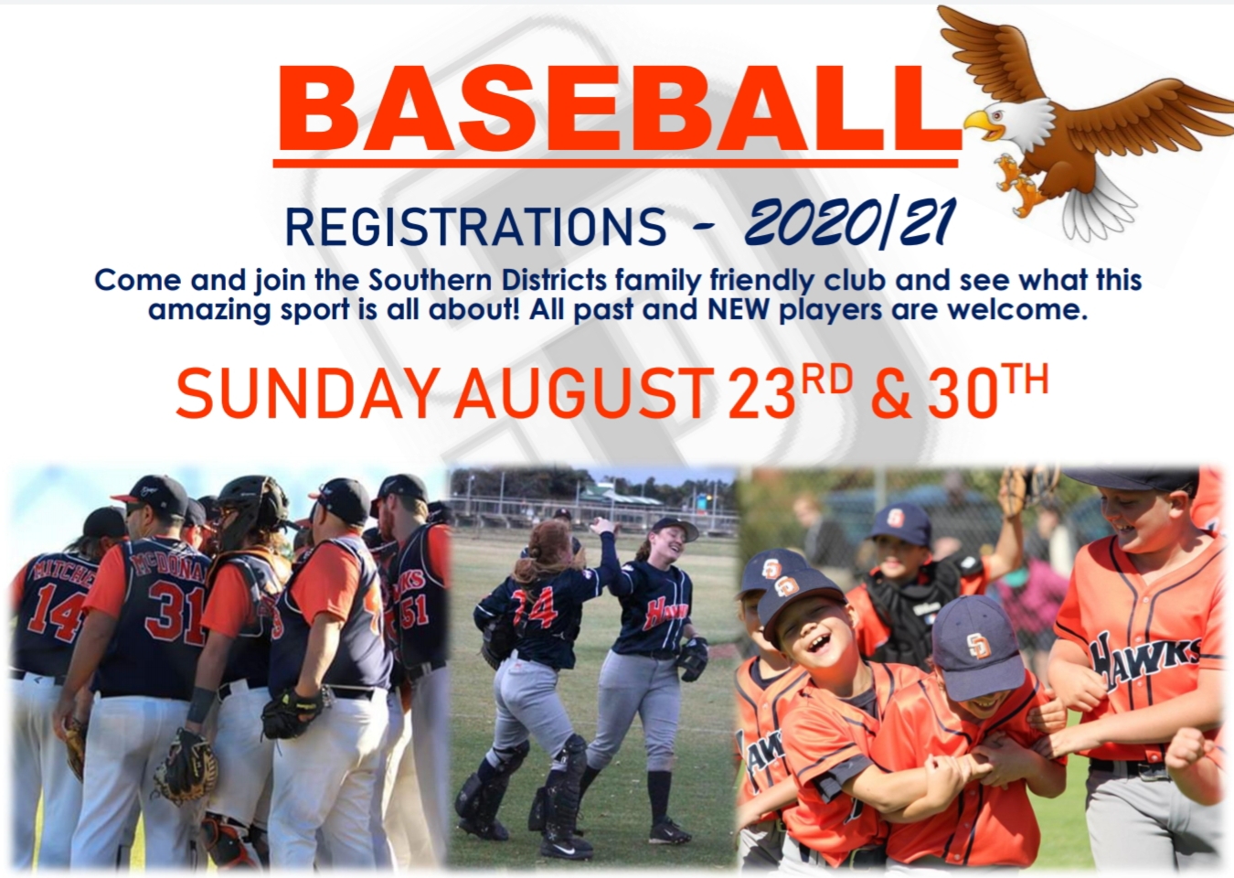 Latest News Southern Districts Baseball Club